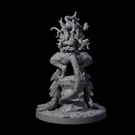 Twisted Star Spawn Seer A Miniature for Dungeons and Dragons, Pathfinder or other TTRPGs