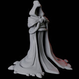 Two Animated Cloaks Miniature for Dungeons and Dragons, Pathfinder or other TTRPGs