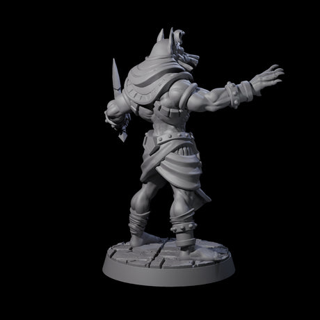 Two Raving Anubis Guards Miniature for Dungeons and Dragons, Pathfinder or other TTRPGs