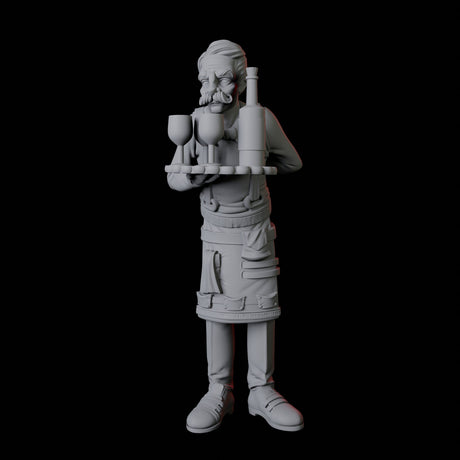 Two Royal Servants Miniature for Dungeons and Dragons, Pathfinder or other TTRPGs