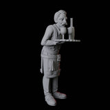 Two Royal Servants Miniature for Dungeons and Dragons, Pathfinder or other TTRPGs
