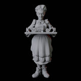 Two Royal Servants Miniature for Dungeons and Dragons, Pathfinder or other TTRPGs