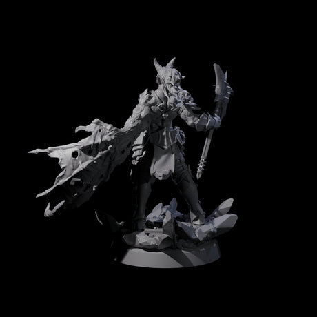 Unholy Half Winged Cambion C Miniature for Dungeons and Dragons, Pathfinder or other TTRPGs