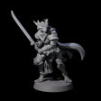 Valiant Dragonborn Crusader D Miniature for Dungeons and Dragons, Pathfinder or other TTRPGs
