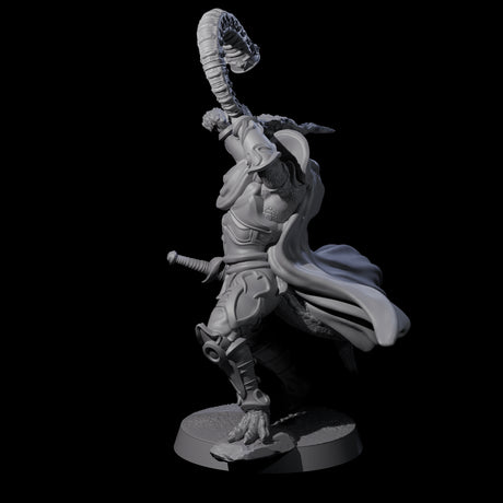 Valiant Dragonborn Crusader F Miniature for Dungeons and Dragons, Pathfinder or other TTRPGs