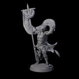 Valiant Dragonborn Crusader G Miniature for Dungeons and Dragons, Pathfinder or other TTRPGs