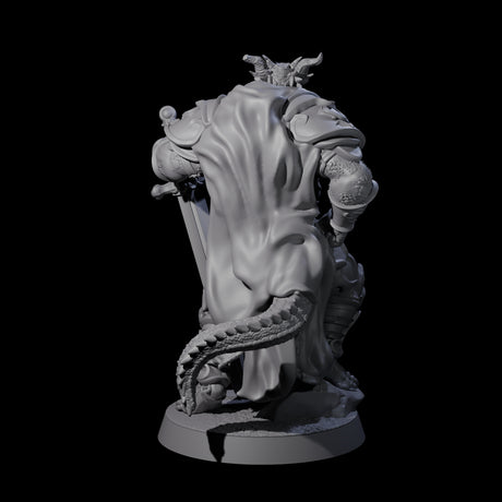 Valiant Dragonborn Crusader H Miniature for Dungeons and Dragons, Pathfinder or other TTRPGs