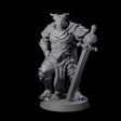 Valiant Dragonborn Crusader H Miniature for Dungeons and Dragons, Pathfinder or other TTRPGs