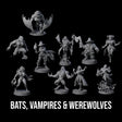 Vampire Hunter and the Hunted Miniature for Dungeons and Dragons, Pathfinder or other TTRPGs