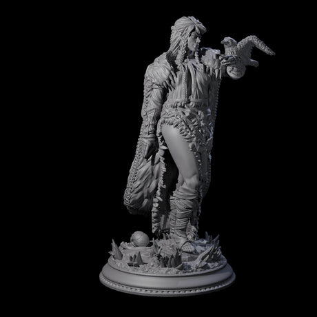 Vampire Raven Master Miniature for Dungeons and Dragons, Pathfinder or other TTRPGs
