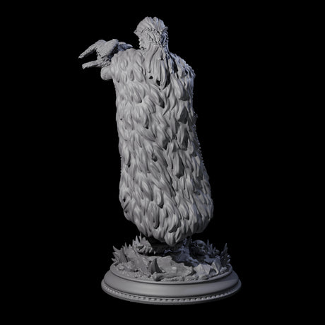Vampire Raven Master Miniature for Dungeons and Dragons, Pathfinder or other TTRPGs