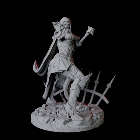 Vampire Warrior C Miniature for Dungeons and Dragons, Pathfinder or other TTRPGs