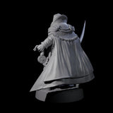 Vazano - Mercenary Company Captain Miniature for Dungeons and Dragons, Pathfinder or other TTRPGs