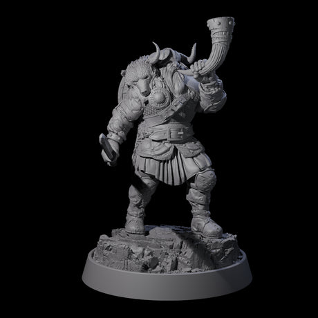 Veteran Viking Warrior D Miniature for Dungeons and Dragons, Pathfinder or other TTRPGs