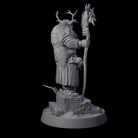 Veteran Viking Warrior G Miniature for Dungeons and Dragons, Pathfinder or other TTRPGs