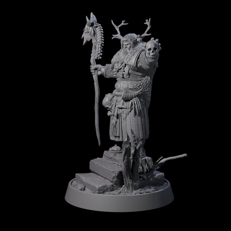 Veteran Viking Warrior G Miniature for Dungeons and Dragons, Pathfinder or other TTRPGs