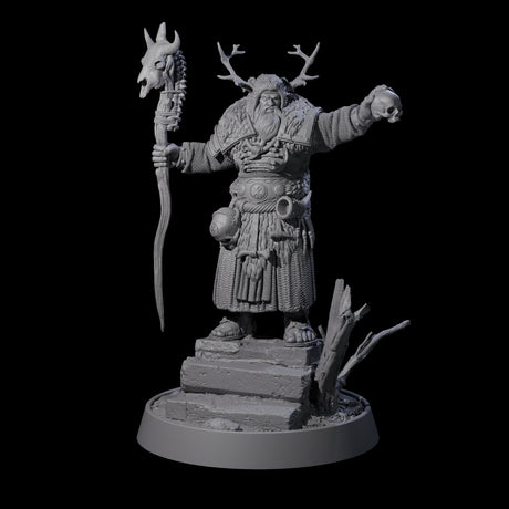 Veteran Viking Warrior G Miniature for Dungeons and Dragons, Pathfinder or other TTRPGs