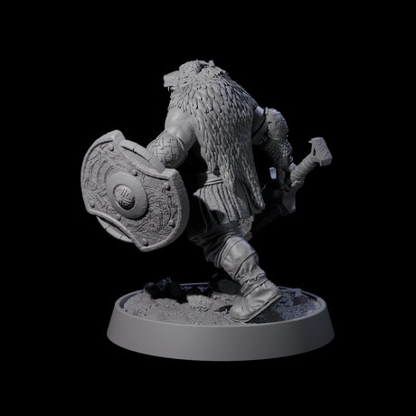 Veteran Viking Warrior H Miniature for Dungeons and Dragons, Pathfinder or other TTRPGs