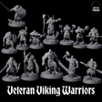 Veteran Viking Warriors Miniature for Dungeons and Dragons, Pathfinder or other TTRPGs