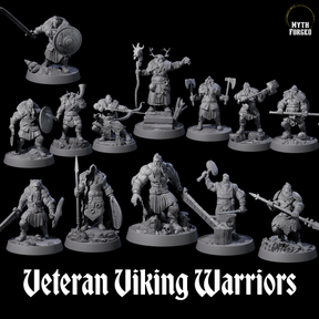 Veteran Viking Warriors Miniature for Dungeons and Dragons, Pathfinder or other TTRPGs