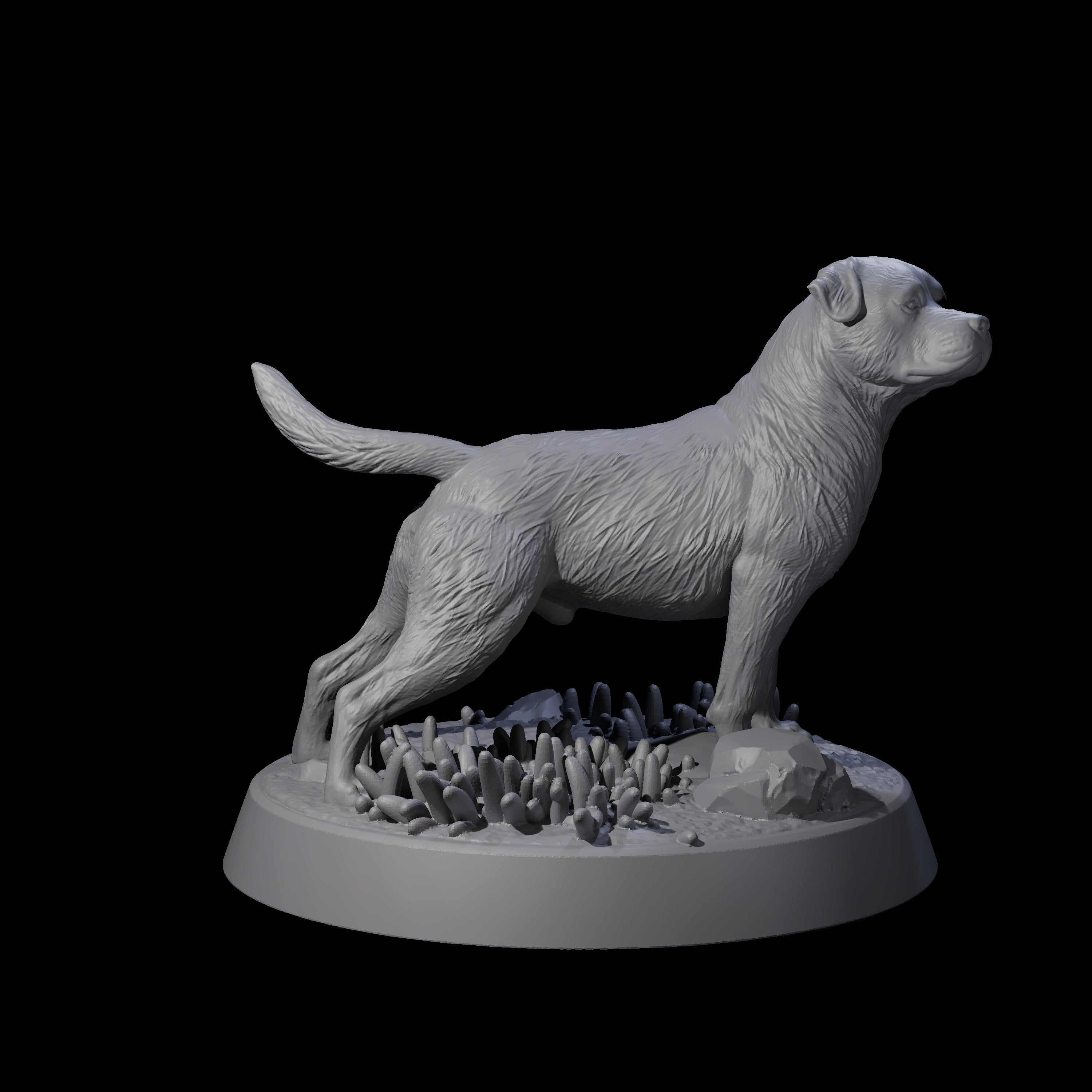 Vigilant Guard Dog A Miniature for Dungeons and Dragons, Pathfinder or other TTRPGs