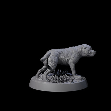 Vigilant Guard Dogs Miniature for Dungeons and Dragons, Pathfinder or other TTRPGs