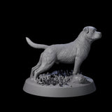 Vigilant Guard Dogs Miniature for Dungeons and Dragons, Pathfinder or other TTRPGs
