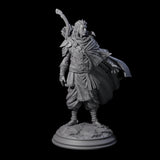 Wandering Elf Paladin Miniature for Dungeons and Dragons, Pathfinder or other TTRPGs