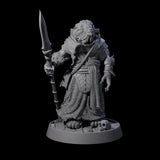 Wandering Leonin Nomad M Miniature for Dungeons and Dragons, Pathfinder or other TTRPGs