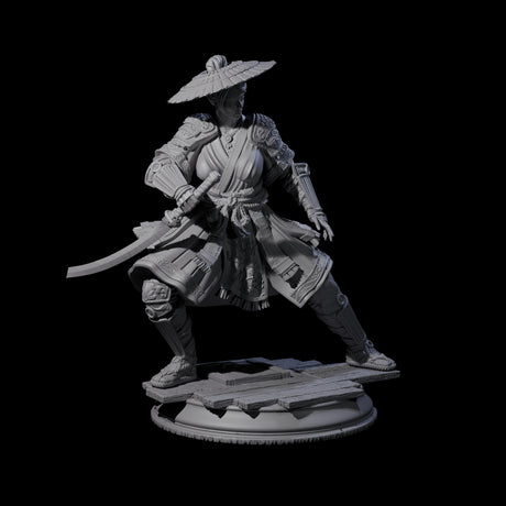 Wandering Ronin Miniature for Dungeons and Dragons, Pathfinder or other TTRPGs