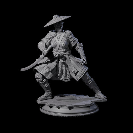Wandering Ronin Miniature for Dungeons and Dragons, Pathfinder or other TTRPGs