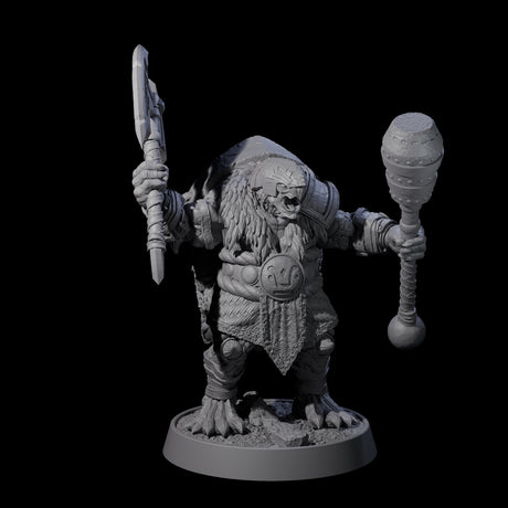 Warlike Tortle A Miniature for Dungeons and Dragons, Pathfinder or other TTRPGs