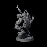 Warlike Tortle O Miniature for Dungeons and Dragons, Pathfinder or other TTRPGs