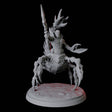 Warring Tlincallis A Miniature for Dungeons and Dragons, Pathfinder or other TTRPGs