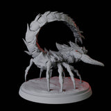 Warring Tlincallis B Miniature for Dungeons and Dragons, Pathfinder or other TTRPGs