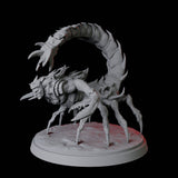 Warring Tlincallis B Miniature for Dungeons and Dragons, Pathfinder or other TTRPGs