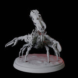 Warring Tlincallis B Miniature for Dungeons and Dragons, Pathfinder or other TTRPGs