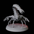 Warring Tlincallis B Miniature for Dungeons and Dragons, Pathfinder or other TTRPGs