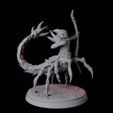 Warring Tlincallis C Miniature for Dungeons and Dragons, Pathfinder or other TTRPGs