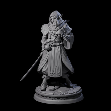 Wary Elf Traveller Miniature for Dungeons and Dragons, Pathfinder or other TTRPGs