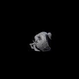 Weird War German Flapping Vampire Spawn E Miniature for Dungeons and Dragons, Pathfinder or other TTRPGs