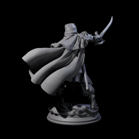 Wind Swept Human Warrior Miniature for Dungeons and Dragons, Pathfinder or other TTRPGs