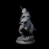 Wind Swept Human Warrior Miniature for Dungeons and Dragons, Pathfinder or other TTRPGs
