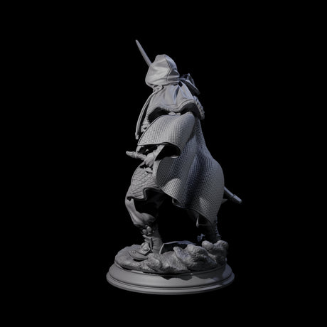 Wind Swept Human Warrior Miniature for Dungeons and Dragons, Pathfinder or other TTRPGs