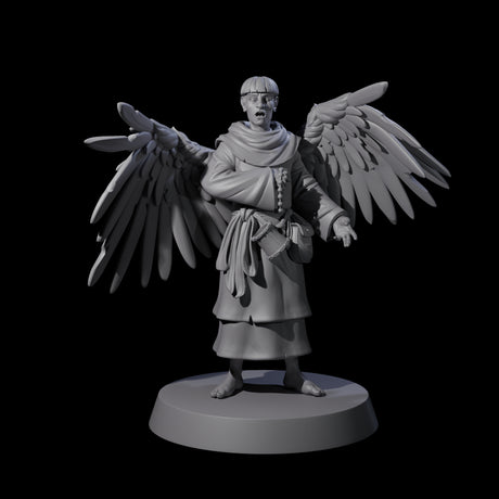 Winged Monk Miniature for Dungeons and Dragons, Pathfinder or other TTRPGs