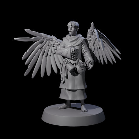 Winged Monk Miniature for Dungeons and Dragons, Pathfinder or other TTRPGs