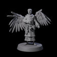 Winged Monk Miniature for Dungeons and Dragons, Pathfinder or other TTRPGs