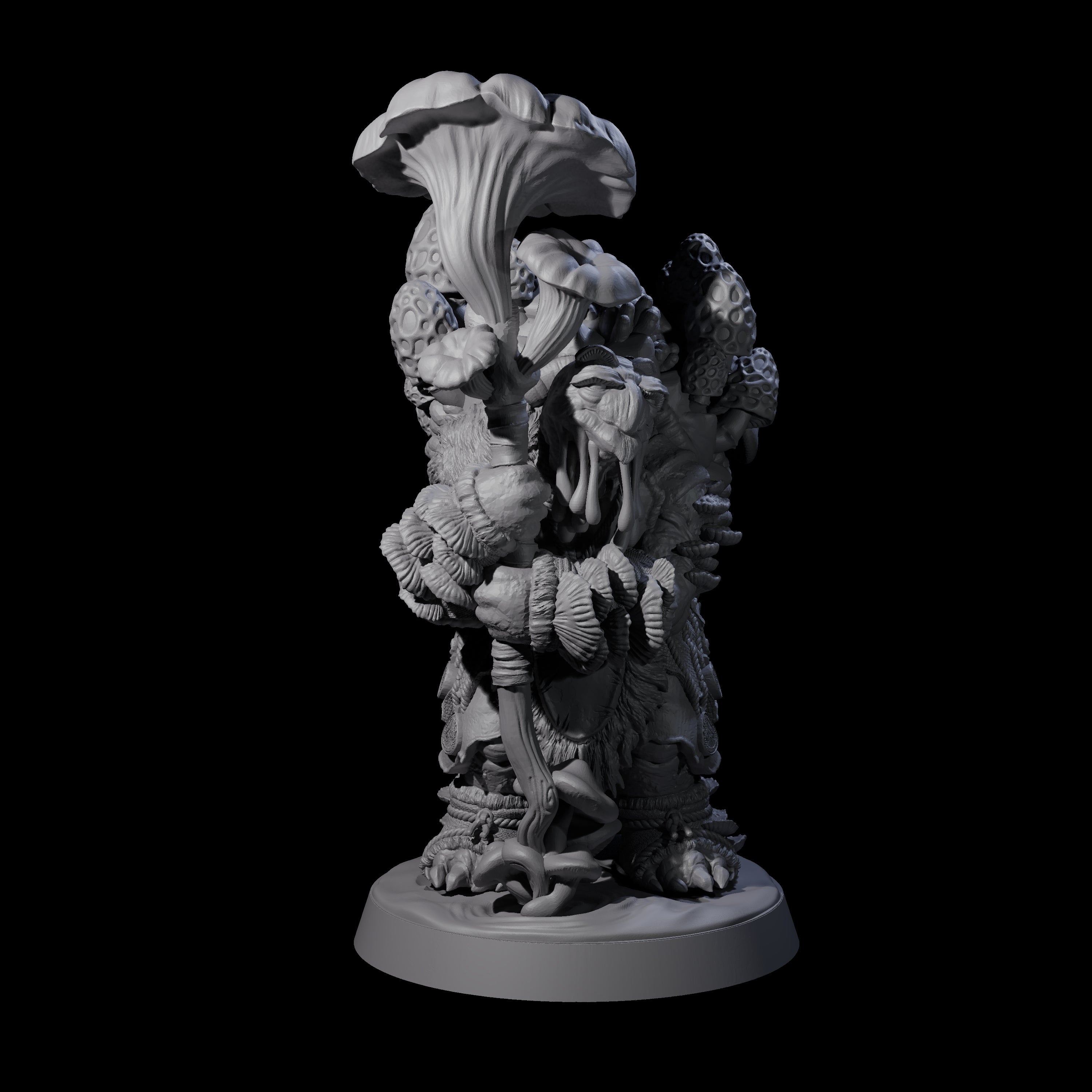Wise Fungal Tortle Sage Miniature for Dungeons and Dragons, Pathfinder or other TTRPGs