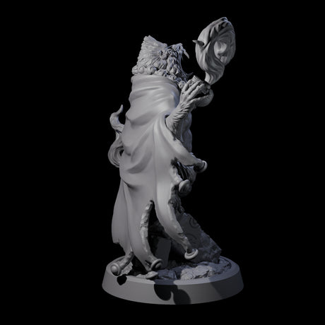 Wise Hazodee Elder B Miniature for Dungeons and Dragons, Pathfinder or other TTRPGs