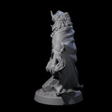 Wise Hazodee Elder B Miniature for Dungeons and Dragons, Pathfinder or other TTRPGs